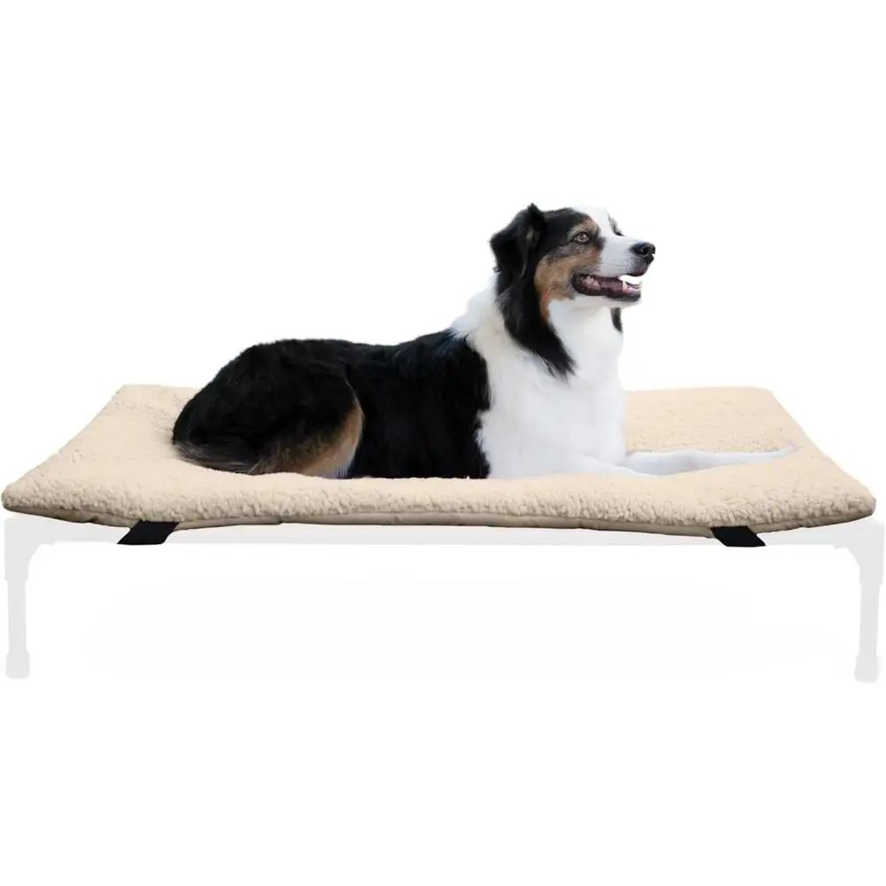 Elevated Dog Bed with Pillow-Top Comfort, Washable, Portable - Large 42x30in Tan
Elevated Dog Bed with Pillow-Top Comfort, Washable, Portable - Large 42x30in Tan