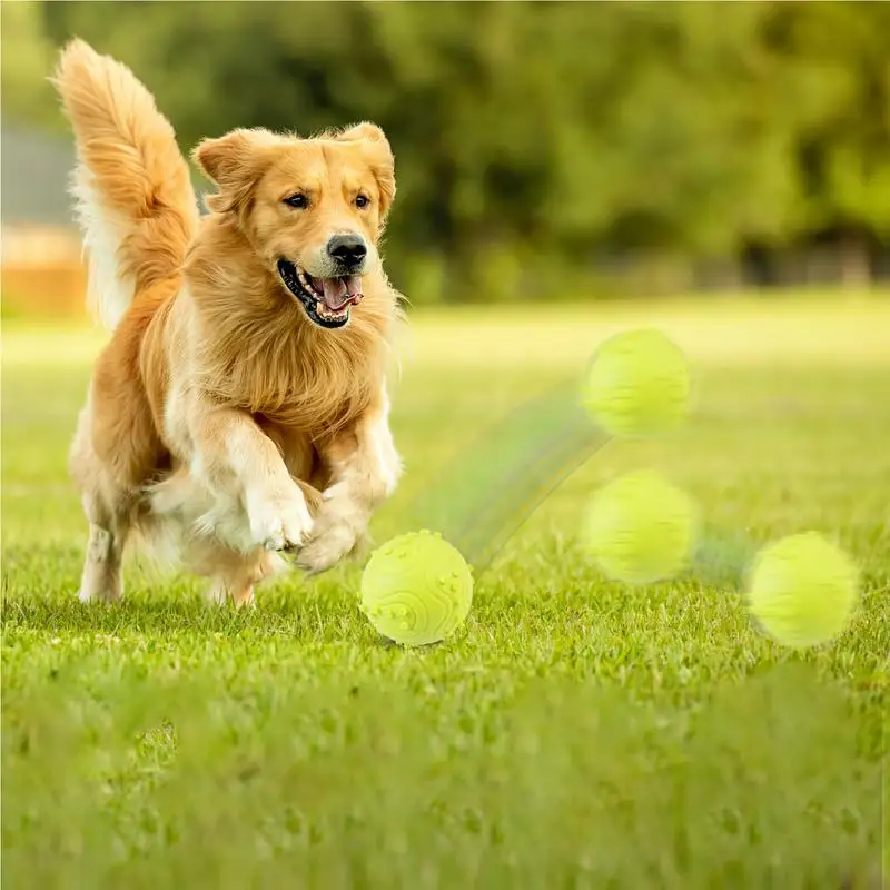 Dog Teeth Safe Tennis Balls Easy Catching Pet Dog Ball Puppy Fetch Tennis Balls Boredom Relief Teether Toy Easy To Maintain
Dog Teeth Safe Tennis Balls Easy Catching Pet Dog Ball Puppy Fetch Tennis Balls Boredom Relief Teether Toy Easy To Maintain