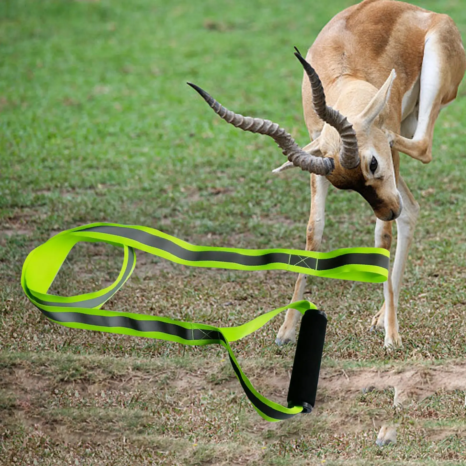 Deer Drag Harness Deer Drag Strap Width 4cm Deer Drag Sled Deer Puller for Deers Hunters
Deer Drag Harness Deer Drag Strap Width 4cm Deer Drag Sled Deer Puller for Deers Hunters
