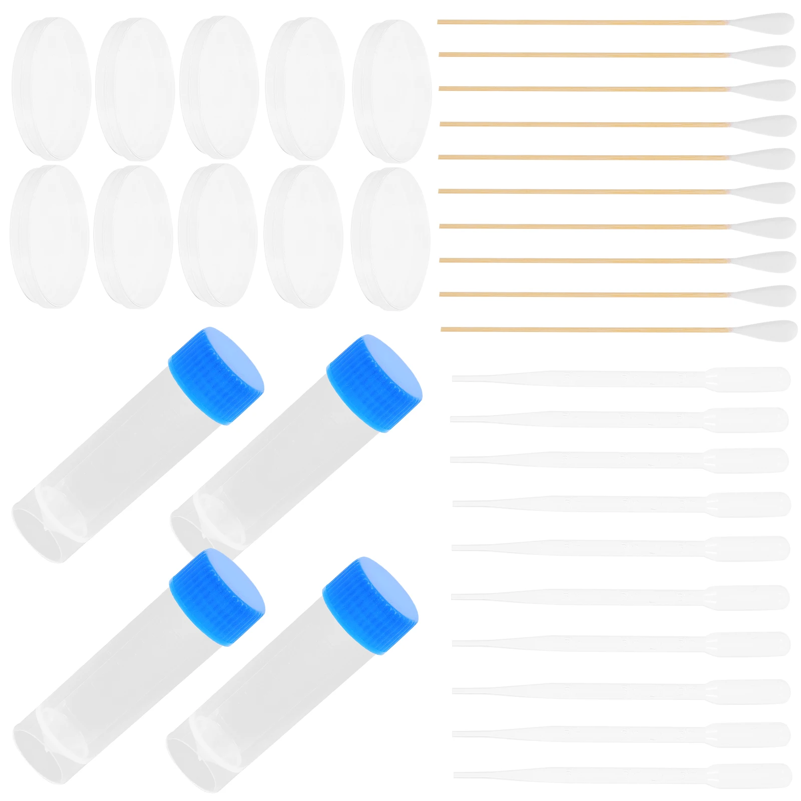 10pcs Petri Agar Plates Kit Science Project Samples Microbiology Lab Tools Storage Tubes Science Project Growing Kit Empty
10pcs Petri Agar Plates Kit Science Project Samples Microbiology Lab Tools Storage Tubes Science Project Growing Kit Empty
