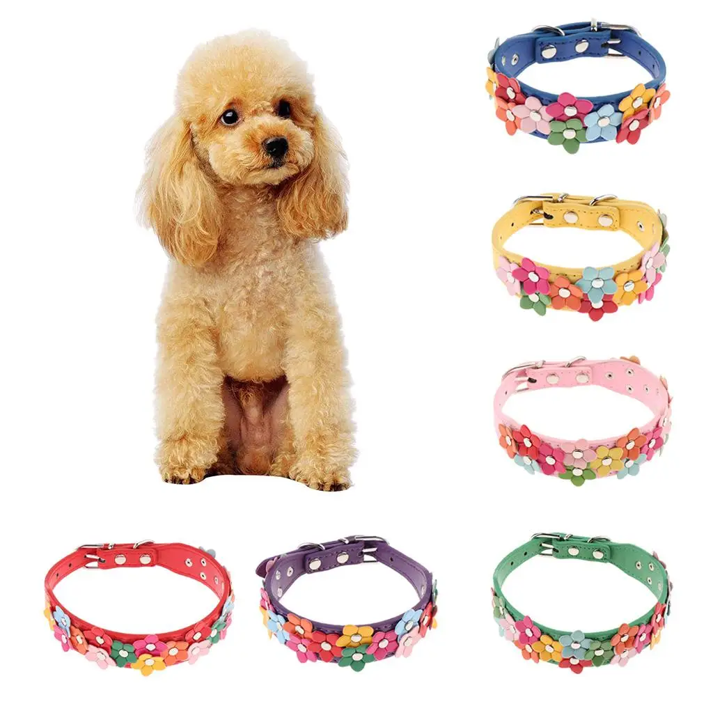 Ошейники для собак, красочные для собак, щенков, кошек, чихуахуа, Тедди, мелких животных
Ошейники для собак, красочные для собак, щенков, кошек, чихуахуа, Тедди, мелких животных