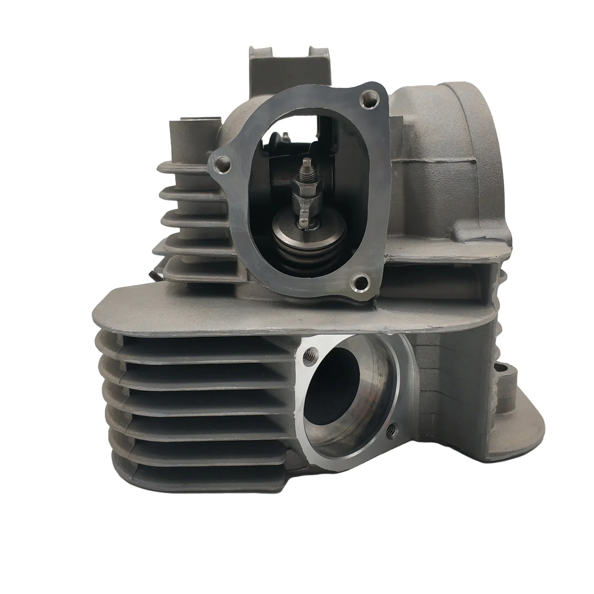 Cylinder Head Valve Assembly for Yamaha Timberwolf YFB250 1992-2000 Bear Tracker YFM250 1999-2004
Cylinder Head Valve Assembly for Yamaha Timberwolf YFB250 1992-2000 Bear Tracker YFM250 1999-2004