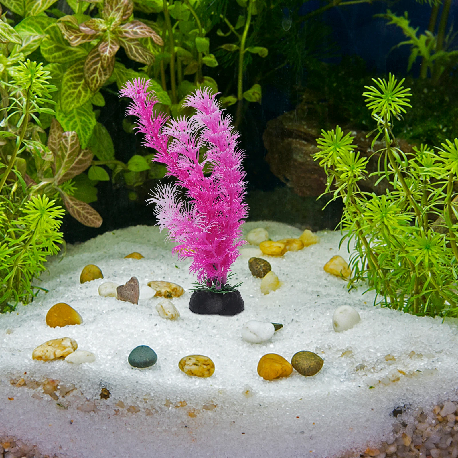 12pcs Artificial Plants for Aquarium Small Fish Tank Decorations Freshwater Plastic Ornaments Lifelike Color Stylish Design Non
12pcs Artificial Plants for Aquarium Small Fish Tank Decorations Freshwater Plastic Ornaments Lifelike Color Stylish Design Non