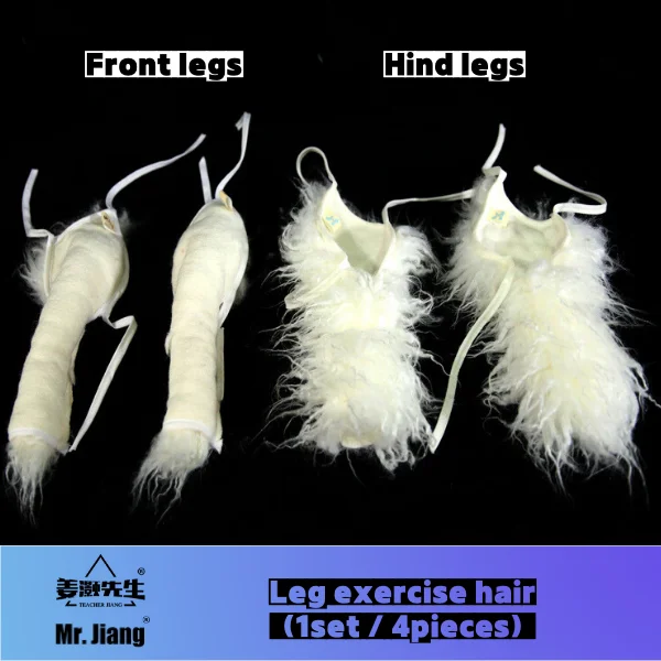 Mr. Jiang Leg exercise hair (1set / 4pieces)
Mr. Jiang Leg exercise hair (1set / 4pieces)
