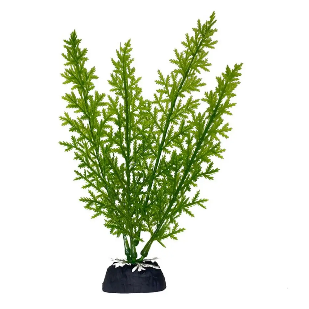 18cm Simulation Water Grass Lifelike Plastic Aquatic Water Grass Seaweed Ornaments Decorative Artificial Underwater Plants
18cm Simulation Water Grass Lifelike Plastic Aquatic Water Grass Seaweed Ornaments Decorative Artificial Underwater Plants