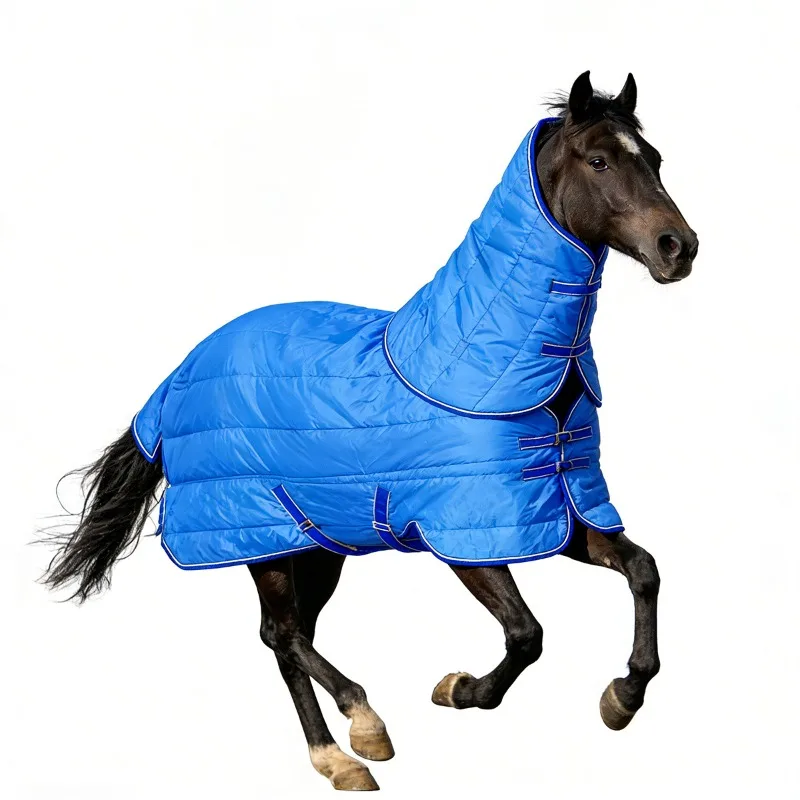 2-Piece Set of Blue Nylon Waterproof, Breathable, and Warm Riding Jackets with Hoods
2-Piece Set of Blue Nylon Waterproof, Breathable, and Warm Riding Jackets with Hoods