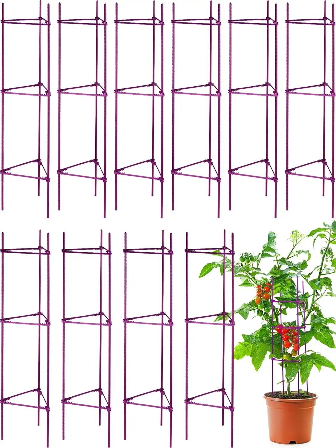 10 Packs Tomato Cages 48" Tall Plant Stakes with Adjustable Snap Arms Clips for Garden Support
10 Packs Tomato Cages 48" Tall Plant Stakes with Adjustable Snap Arms Clips for Garden Support