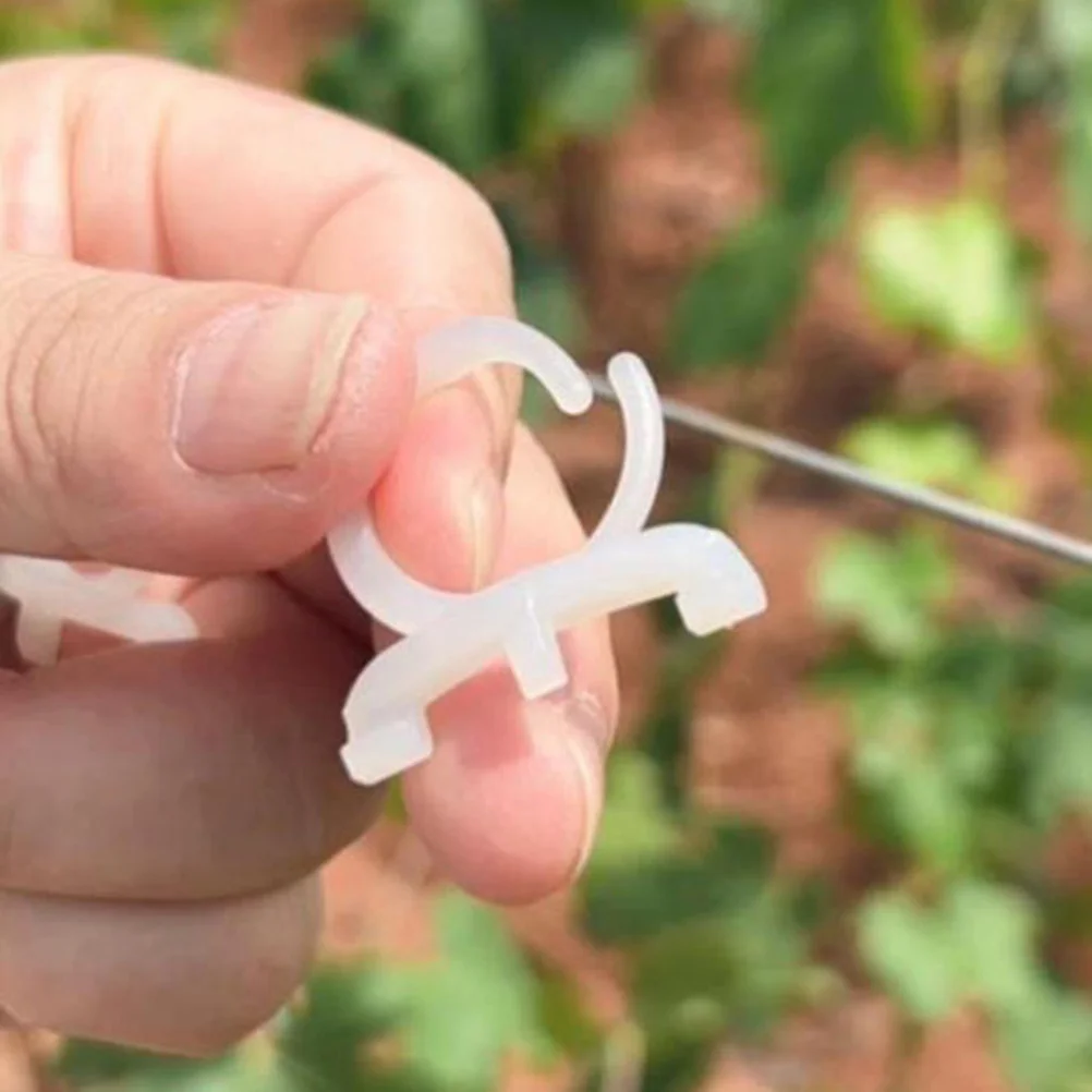 500Pcs Grape Vine Clip Plastic Durable Plant Support Clamp Stem Clips for Garden Vines and Climbing Plants Plant Clip 
500Pcs Grape Vine Clip Plastic Durable Plant Support Clamp Stem Clips for Garden Vines and Climbing Plants Plant Clip