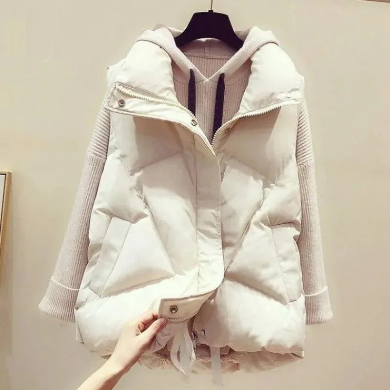 Autumn Winter Design Vest for Women Sleeveless Coat Zipper Waistcoat Loose Casual Outerwear All-match Warm Vests Y2k Jacket New
Autumn Winter Design Vest for Women Sleeveless Coat Zipper Waistcoat Loose Casual Outerwear All-match Warm Vests Y2k Jacket New