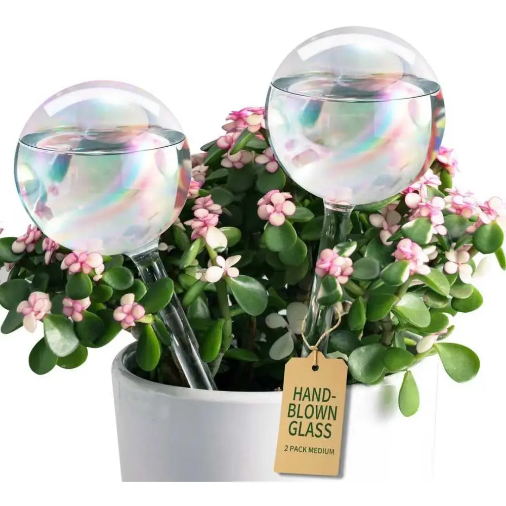 Extra-Thick Clear Glass Plant Watering Globes, Rainbow Gradient Self Watering Globes, Automatic Plant Waterer, Self Watering Pla
Extra-Thick Clear Glass Plant Watering Globes, Rainbow Gradient Self Watering Globes, Automatic Plant Waterer, Self Watering Pla