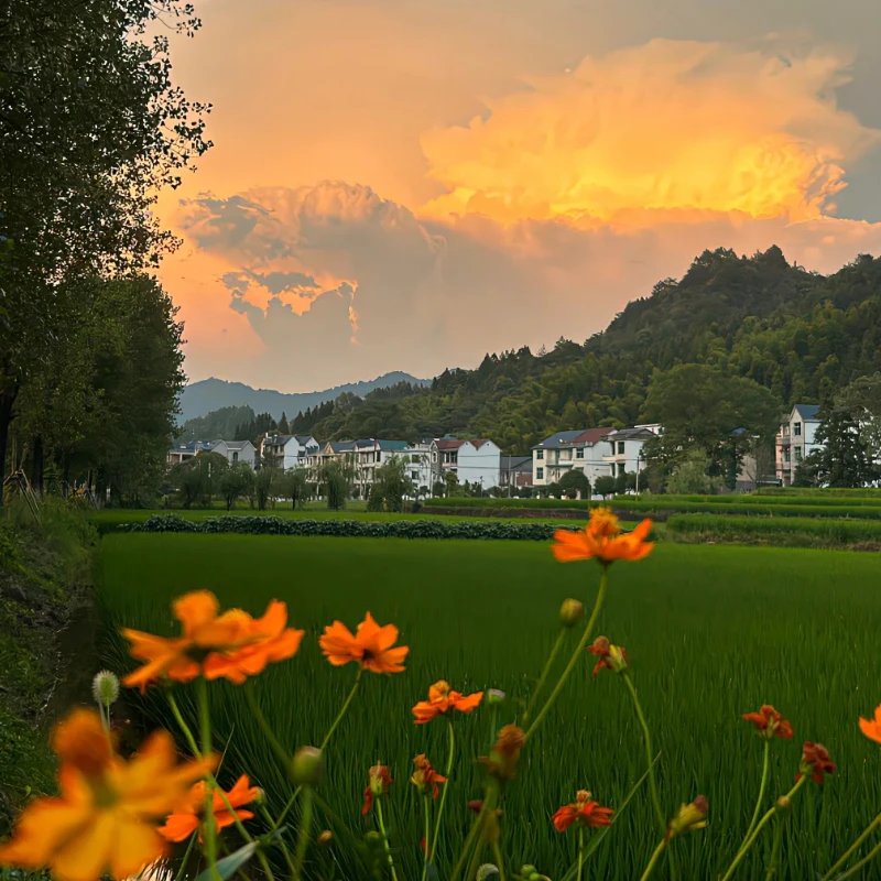 GEPRC TAKER F405 BLS 60A/65A/80A V2 Stack — 4IN1 ESC, AT7456E OSD, черная коробка 16 МБ, ICM42688-P Gyro, двойные детали 5 В/12 В BEC RC FPV
GEPRC TAKER F405 BLS 60A/65A/80A V2 Stack — 4IN1 ESC, AT7456E OSD, черная коробка 16 МБ, ICM42688-P Gyro, двойные детали 5 В/12 В BEC RC FPV