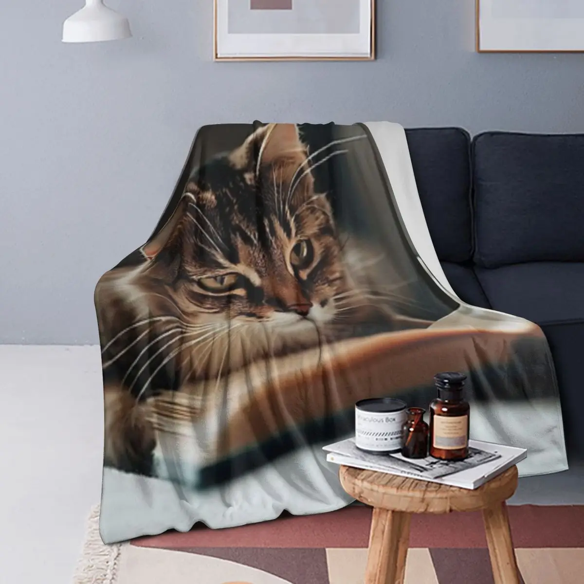 Одеяло Chill Like Cat Reading Books Cat Lover, мягкое фланелевое одеяло, плюшевое одеяло для кровати, гостиной, пикника, путешествий, дома, дивана
Одеяло Chill Like Cat Reading Books Cat Lover, мягкое фланелевое одеяло, плюшевое одеяло для кровати, гостиной, пикника, путешествий, дома, дивана