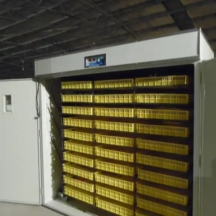 Industrial Incubation Automatic 5280 Eggs Hatching Machine Chicken Incubator for Eggs
Industrial Incubation Automatic 5280 Eggs Hatching Machine Chicken Incubator for Eggs