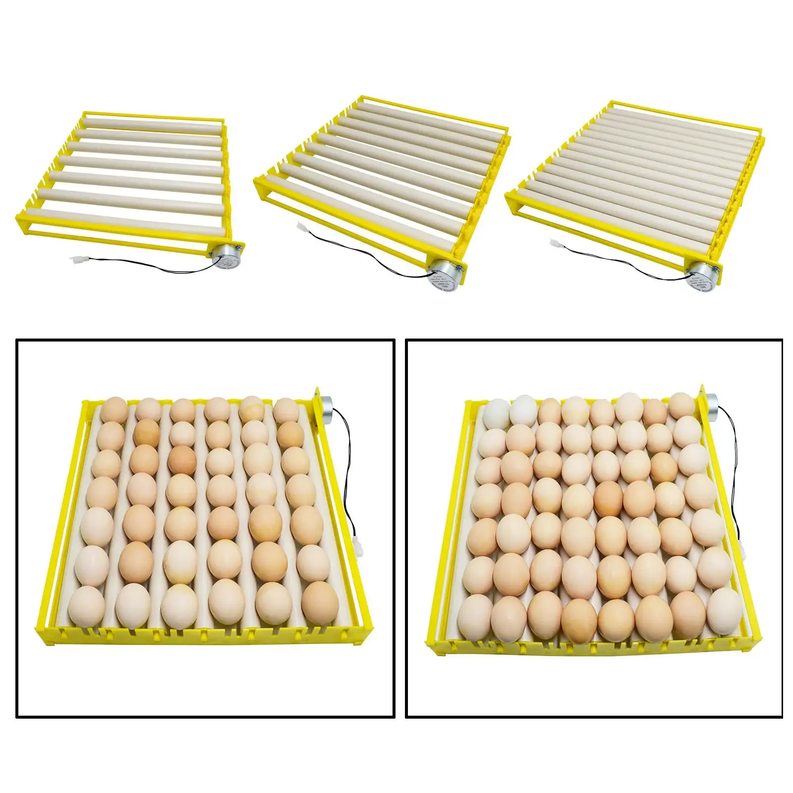 Automatic Egg Incubator Tray Plastic Hatcher Accessories Equipment for Bird Eggs Quail Chicken Duck Turning Machine
Automatic Egg Incubator Tray Plastic Hatcher Accessories Equipment for Bird Eggs Quail Chicken Duck Turning Machine
