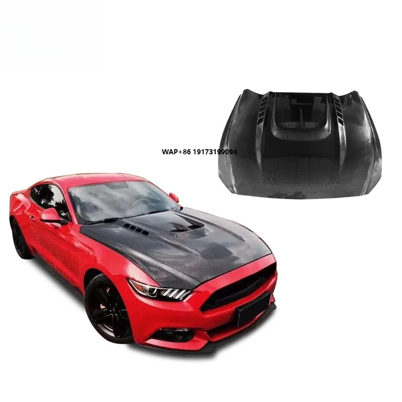15-17 Models of for Mustang with Modified MBJ Carbon Fiber Hood
15-17 Models of for Mustang with Modified MBJ Carbon Fiber Hood