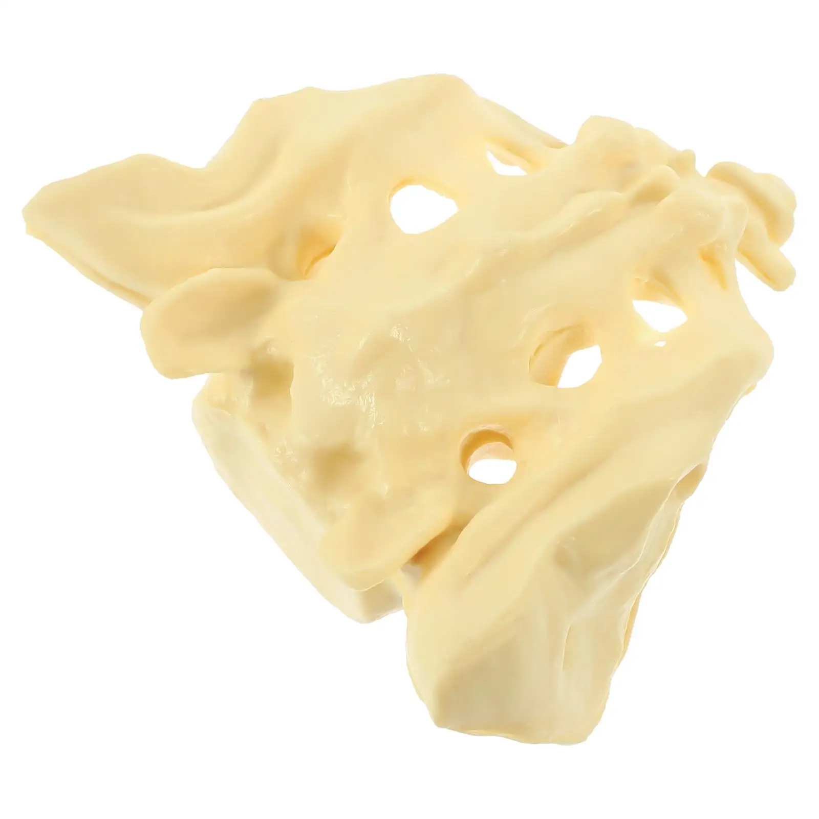 Healthy Sacrum Practice Model Anatomical Human Body for Doctor Pvc Anatomy Medical Field Display
Healthy Sacrum Practice Model Anatomical Human Body for Doctor Pvc Anatomy Medical Field Display