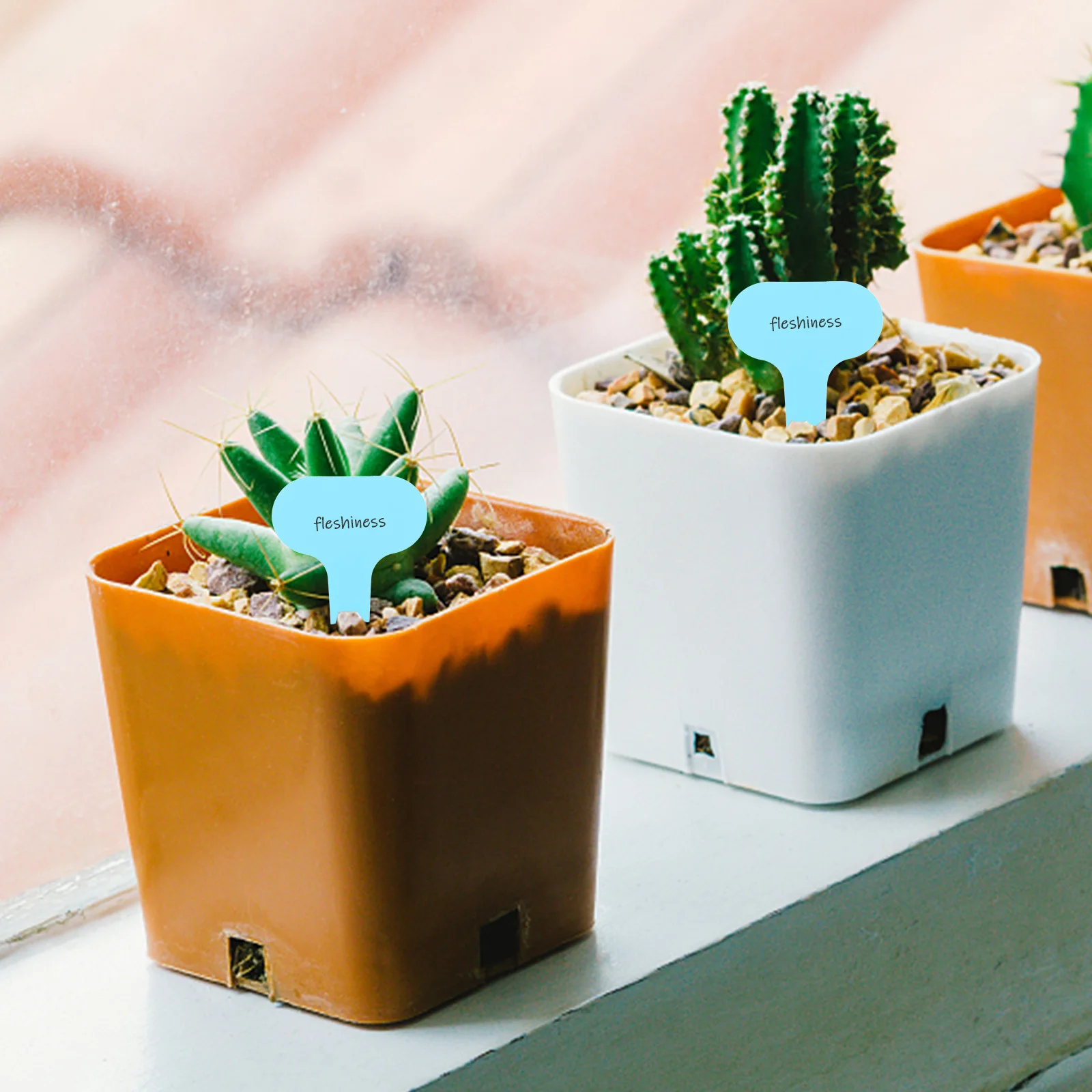 100pcs Labels Garden Markers For Seedlings Plastic Plant Tags Garden Label Stakes Decorative Plant Signs Outdoor Gardening Tools
100pcs Labels Garden Markers For Seedlings Plastic Plant Tags Garden Label Stakes Decorative Plant Signs Outdoor Gardening Tools