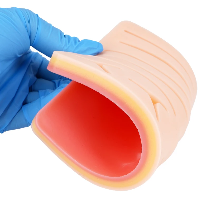 Набор силиконовых накладок для наложения швов, набор для практики наложения швов зубов, медицинское обучение с моделью накладки на кожу, инструмент для тренировок
Набор силиконовых накладок для наложения швов, набор для практики наложения швов зубов, медицинское обучение с моделью накладки на кожу, инструмент для тренировок