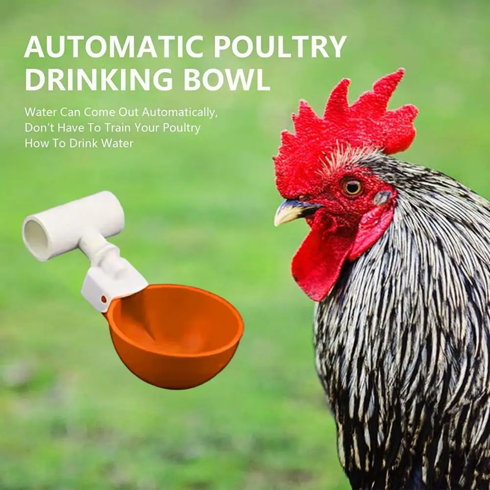 Chicken Waterer Cup 5Pcs Durable with 1/2 Reusable Large Automatic Chicken Waterer Cup Poultry Supplies
Chicken Waterer Cup 5Pcs Durable with 1/2 Reusable Large Automatic Chicken Waterer Cup Poultry Supplies