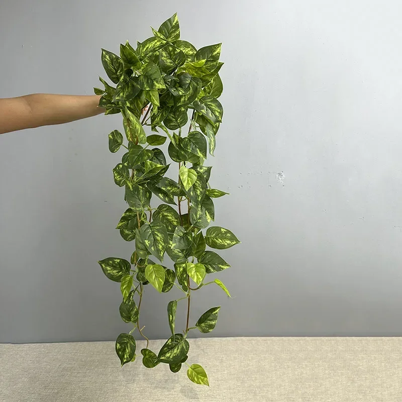95cm Artificial Chicken Heart Vines Plastic Wall Hanging Plants Leaves Living Room Decoration Simulation Evergreen Green Plant
95cm Artificial Chicken Heart Vines Plastic Wall Hanging Plants Leaves Living Room Decoration Simulation Evergreen Green Plant