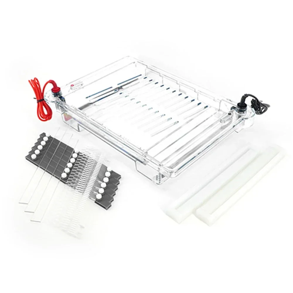 Gold SellerDYCP-32A 160*100mm Agarose Horizontal Electrophoresis Apparatus (Medium Size)
Gold SellerDYCP-32A 160*100mm Agarose Horizontal Electrophoresis Apparatus (Medium Size)