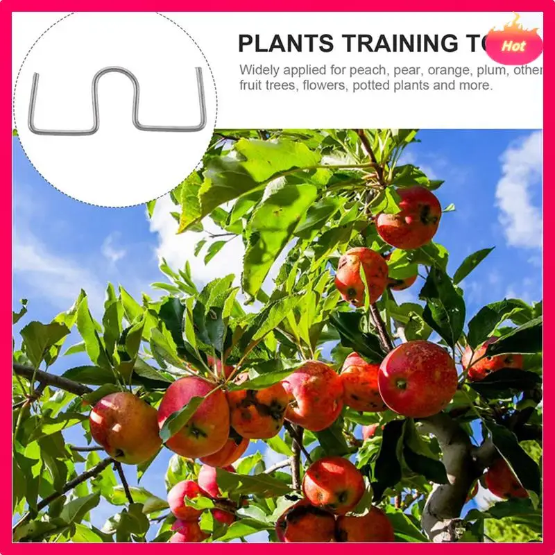 Съемник ветвей фруктового дерева, машина для связывания сельскохозяйственных инструментов, новый инструмент для гибки ветвей сливового дерева с открытым углом, фруктовая ветка, 100 шт.
Съемник ветвей фруктового дерева, машина для связывания сельскохозяйственных инструментов, новый инструмент для гибки ветвей сливового дерева с открытым углом, фруктовая ветка, 100 шт.
