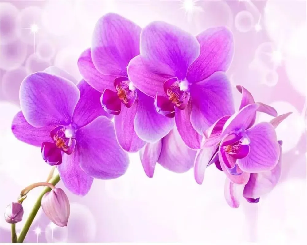 Custom wallpaper fashion purple rose vine TV background wall home decoration living room bedroom wall art mural 3d wallpaper
Custom wallpaper fashion purple rose vine TV background wall home decoration living room bedroom wall art mural 3d wallpaper