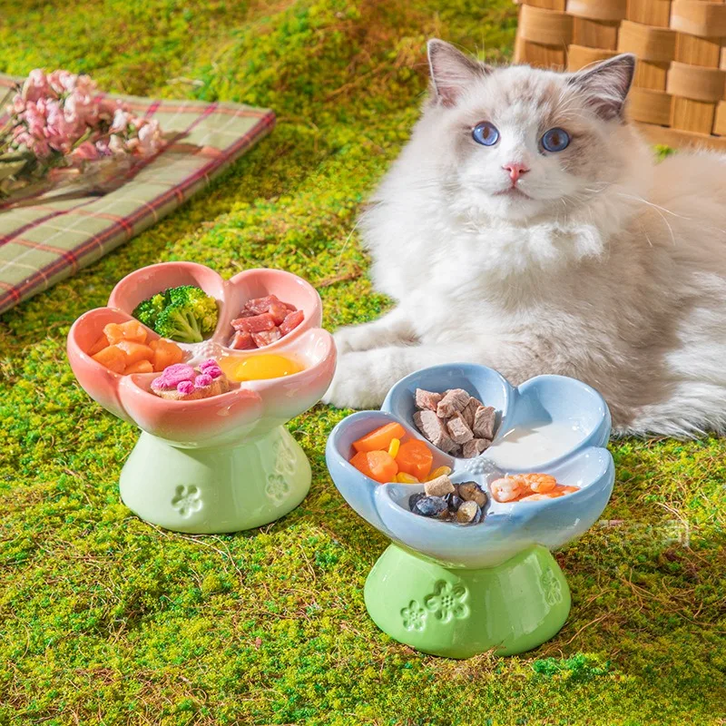 High Foot Oblique Mouth Meal Petal Ceramic Cat Bowl Gradual Change Color Slow Food Bowl Small Dog Kitten Puppy Pet Accessories
High Foot Oblique Mouth Meal Petal Ceramic Cat Bowl Gradual Change Color Slow Food Bowl Small Dog Kitten Puppy Pet Accessories