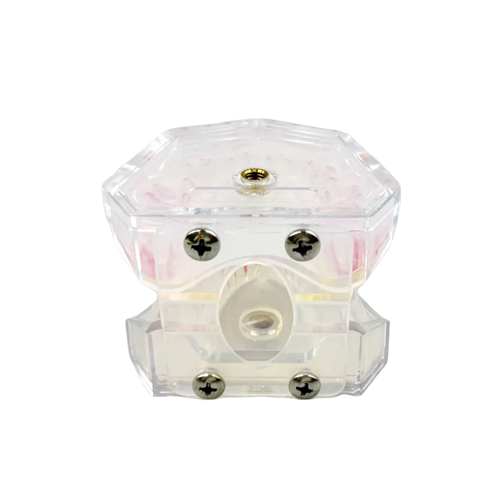 Transparent Full Mouth Removable Root Canal Tooth Model Dental Typodont Study Teaching Model Training Studying Patient Education
Transparent Full Mouth Removable Root Canal Tooth Model Dental Typodont Study Teaching Model Training Studying Patient Education
