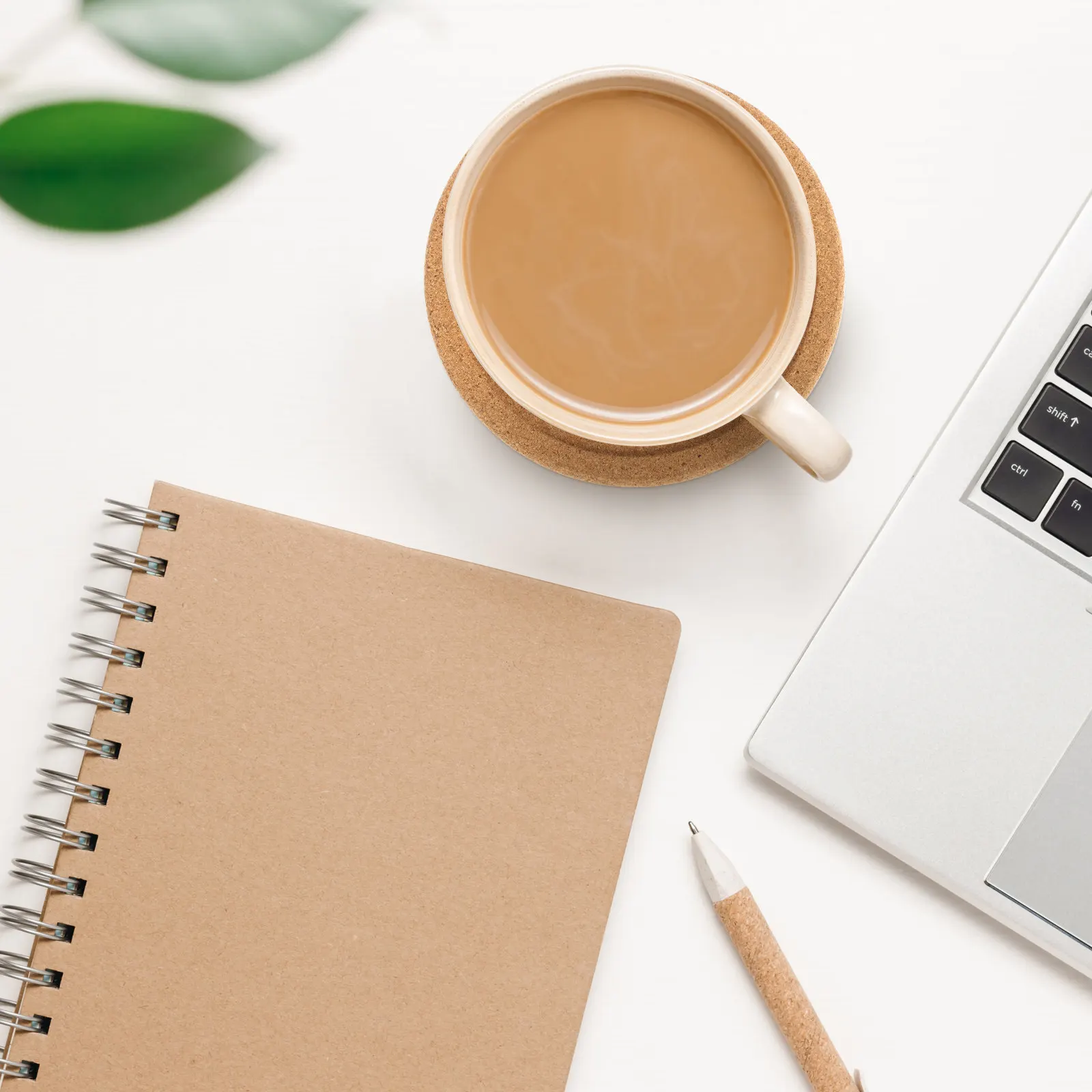 12Pcs Wooden Tone Cork Coasters Round Smooth Texture Heat Cold Resistant Coasters for Dining Table Desk Bar Counter Stylish
12Pcs Wooden Tone Cork Coasters Round Smooth Texture Heat Cold Resistant Coasters for Dining Table Desk Bar Counter Stylish