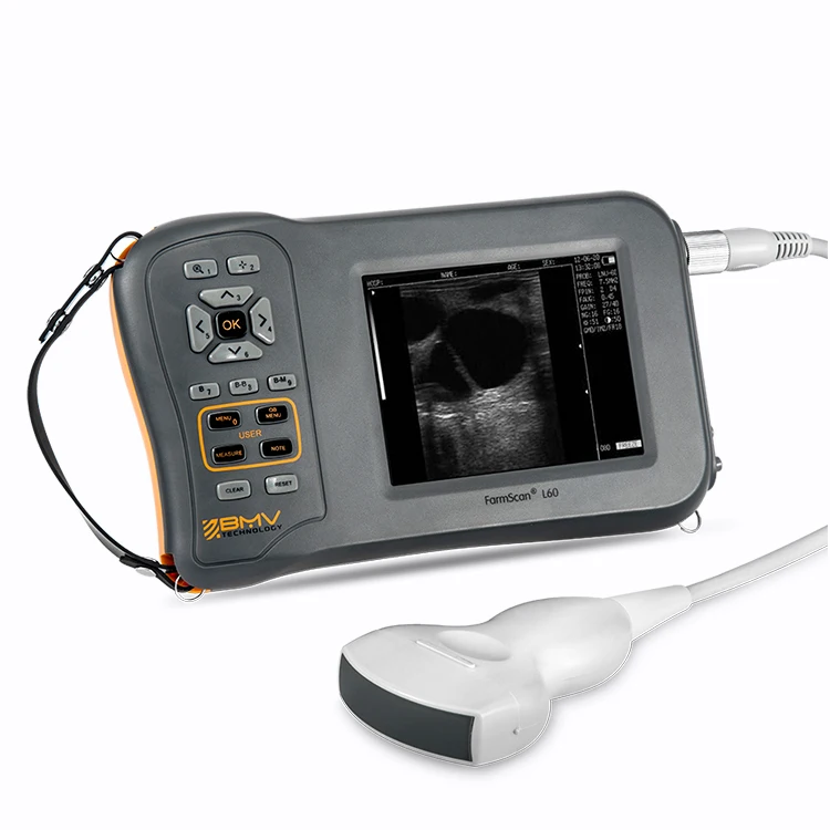 Bovine equine swine sheep goat farm animal ultrasound machine portable handheld veterinary for pregnant test and diagnosis
Bovine equine swine sheep goat farm animal ultrasound machine portable handheld veterinary for pregnant test and diagnosis