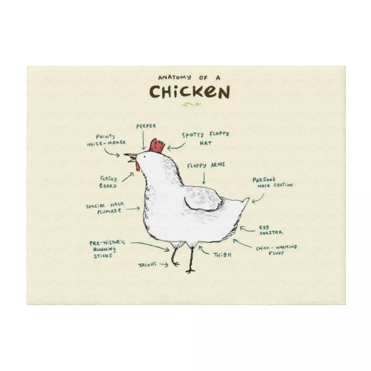 Anatomy of a Chicken Throw Blanket Soft Travel wednesday Luxury Designer Blankets
Anatomy of a Chicken Throw Blanket Soft Travel wednesday Luxury Designer Blankets
