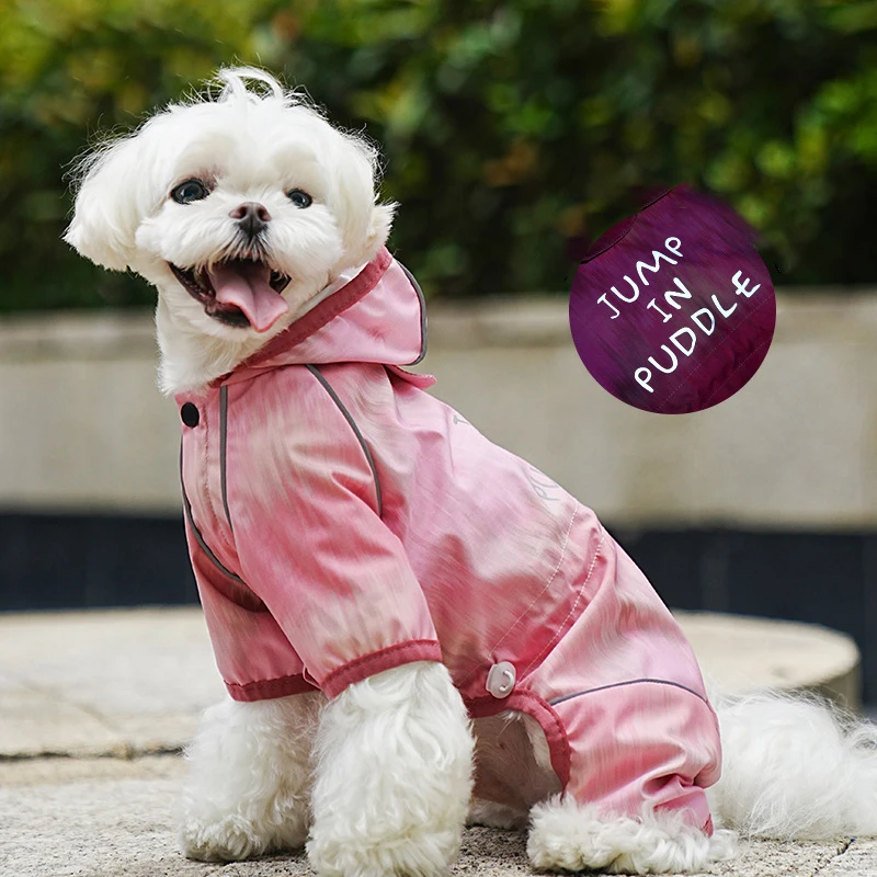 Adjustable hooded pet dog raincoat Color lotus leaf waterproof pet raincoat warm dog clothing
Adjustable hooded pet dog raincoat Color lotus leaf waterproof pet raincoat warm dog clothing
