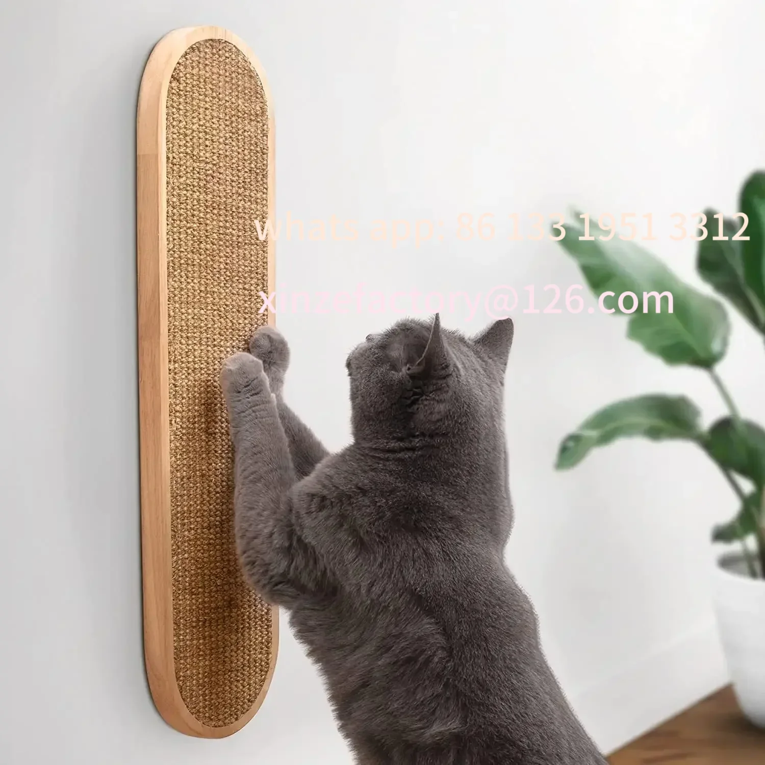 Customizable Scratching Board Hanging Wall Wear-resistant, Non-chipping Resistant Vertical Grinding Claw Post Cat
Customizable Scratching Board Hanging Wall Wear-resistant, Non-chipping Resistant Vertical Grinding Claw Post Cat