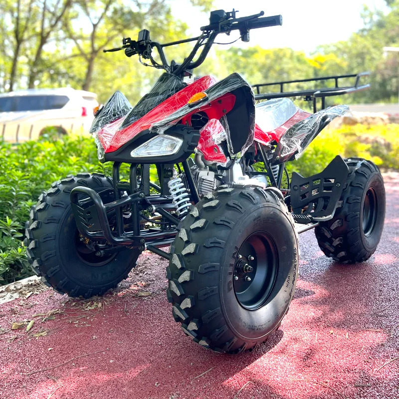 Hot Selling Adults Quads 125 Cc ATV 4 Wheel Quad Bike ATV
Hot Selling Adults Quads 125 Cc ATV 4 Wheel Quad Bike ATV