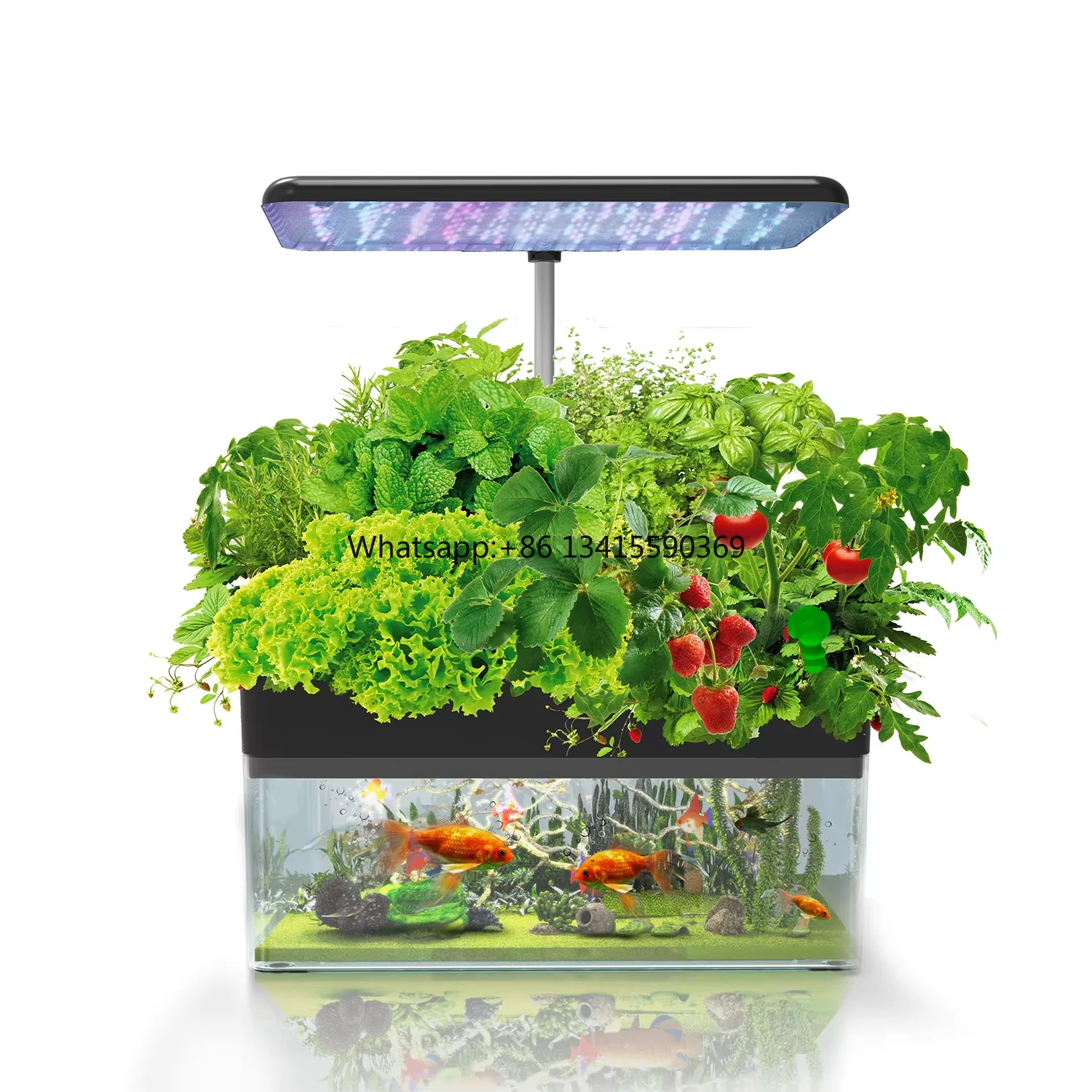 Smart Home Indoor Aquaponic Fish for Tank with 12 Pods for Hydroponic Plant Growing LED Digital System
Smart Home Indoor Aquaponic Fish for Tank with 12 Pods for Hydroponic Plant Growing LED Digital System