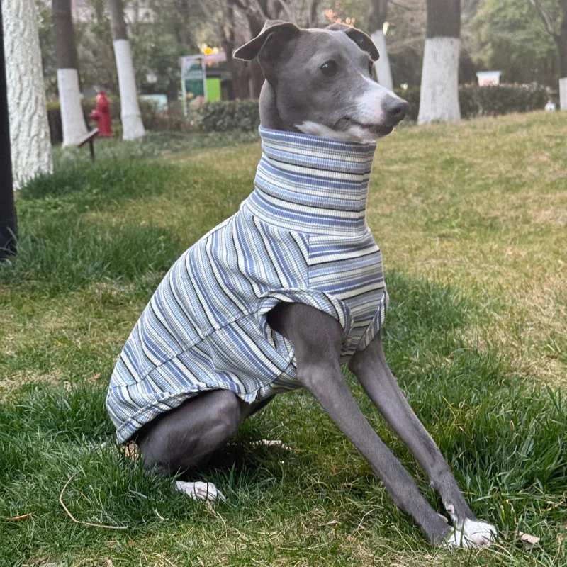 Soft Cotton Shirts for Italian Greyhound Whippet Dog Stripes Breathable Clothes
Soft Cotton Shirts for Italian Greyhound Whippet Dog Stripes Breathable Clothes