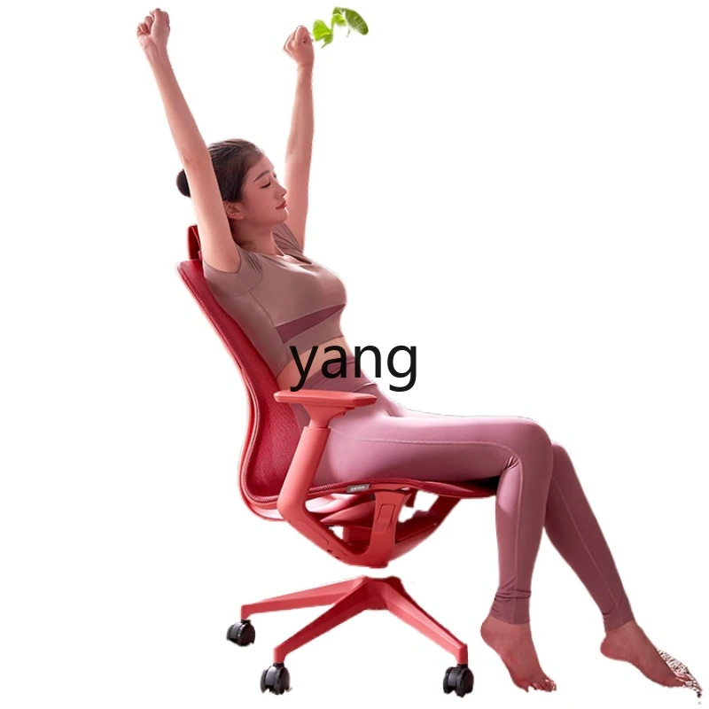 LTT Light Luxury Girls' Study Comfortable Long Sitting Ergonomic Computer Chair
LTT Light Luxury Girls' Study Comfortable Long Sitting Ergonomic Computer Chair