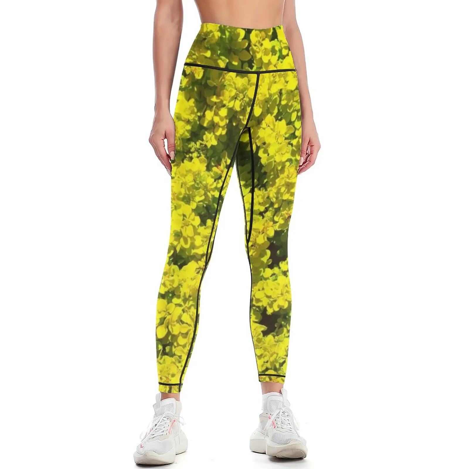 Yellow flowering Shrubs Golden Template Woadwaxen Leggings push up fitness sportswear gym jogging pants Womens Leggings
Yellow flowering Shrubs Golden Template Woadwaxen Leggings push up fitness sportswear gym jogging pants Womens Leggings