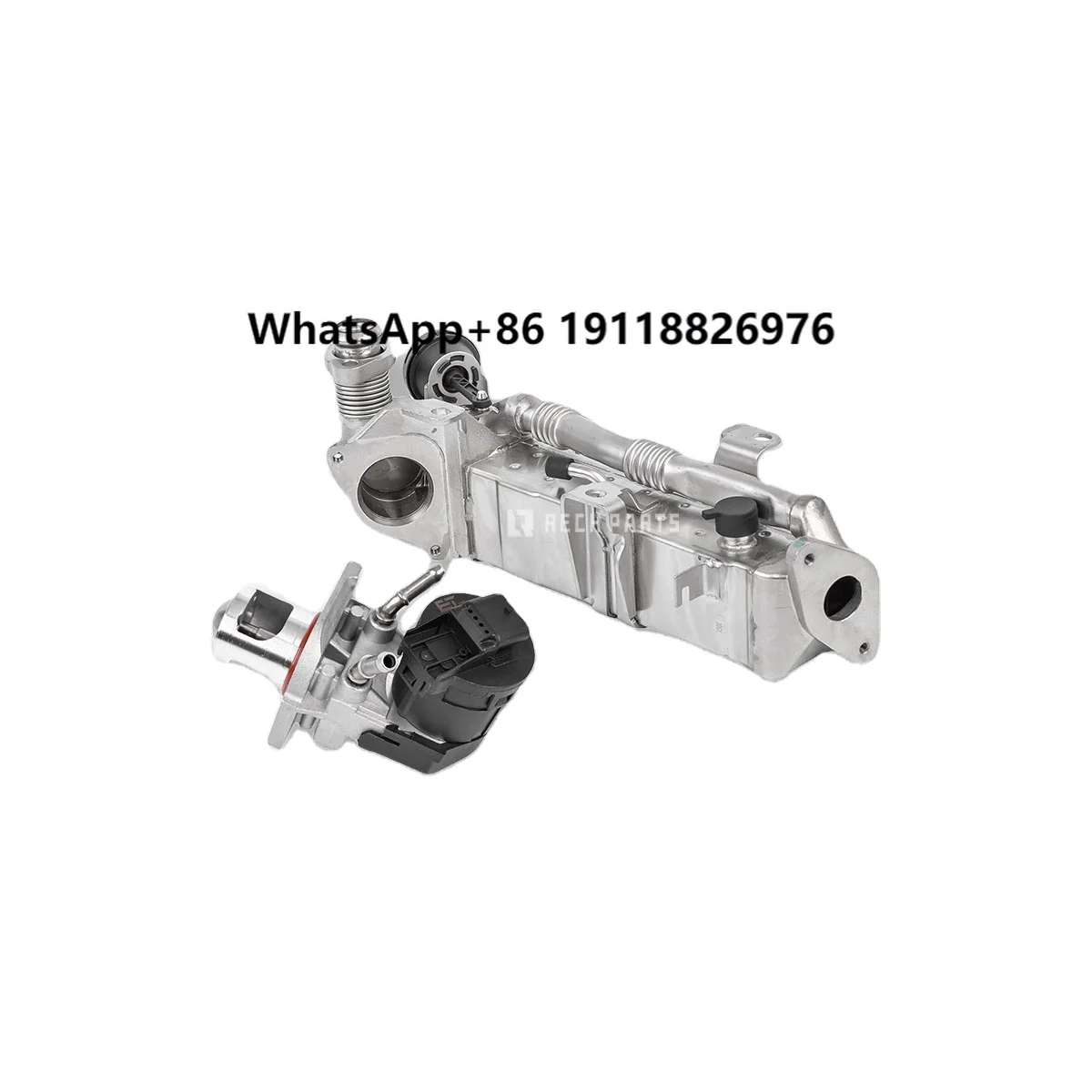 Factory Direct EGR Valve Assy ED0087 ET ENGINETEAM - 11717823210 7823210 11717810751
Factory Direct EGR Valve Assy ED0087 ET ENGINETEAM - 11717823210 7823210 11717810751
