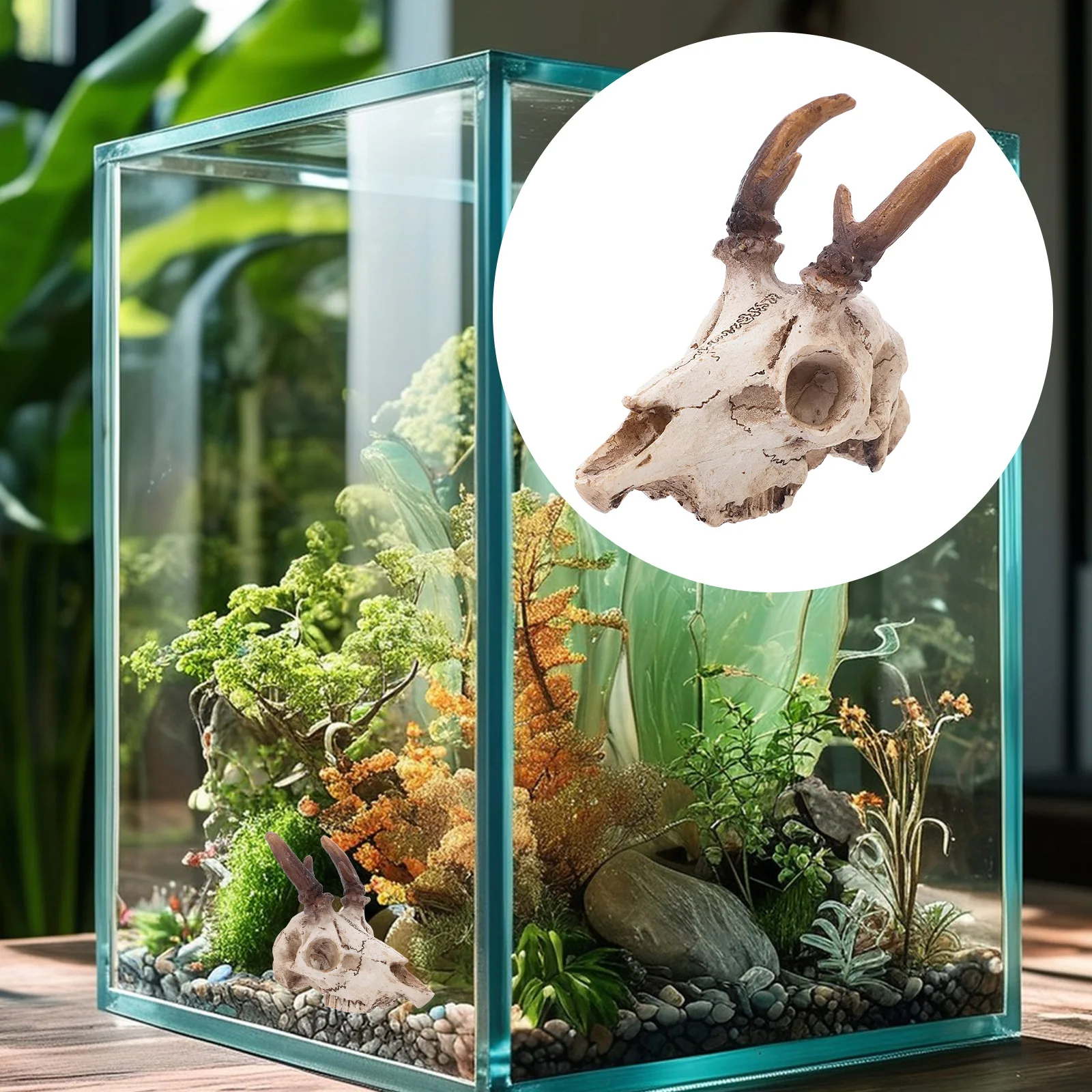 Resin Deer Skull Hideout Realistic Reptile Decor Aquarium Cave For Bearded Dragon Tank Accessories Fish Tank Skull Decorations
Resin Deer Skull Hideout Realistic Reptile Decor Aquarium Cave For Bearded Dragon Tank Accessories Fish Tank Skull Decorations