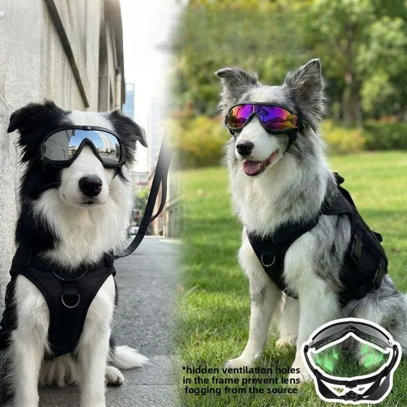 Soft Adjustable Dog Sunglasses for Small Medium Dogs, UV Protection Pet Goggles Windproof, Easy Wear for Outdoor Riding
Soft Adjustable Dog Sunglasses for Small Medium Dogs, UV Protection Pet Goggles Windproof, Easy Wear for Outdoor Riding