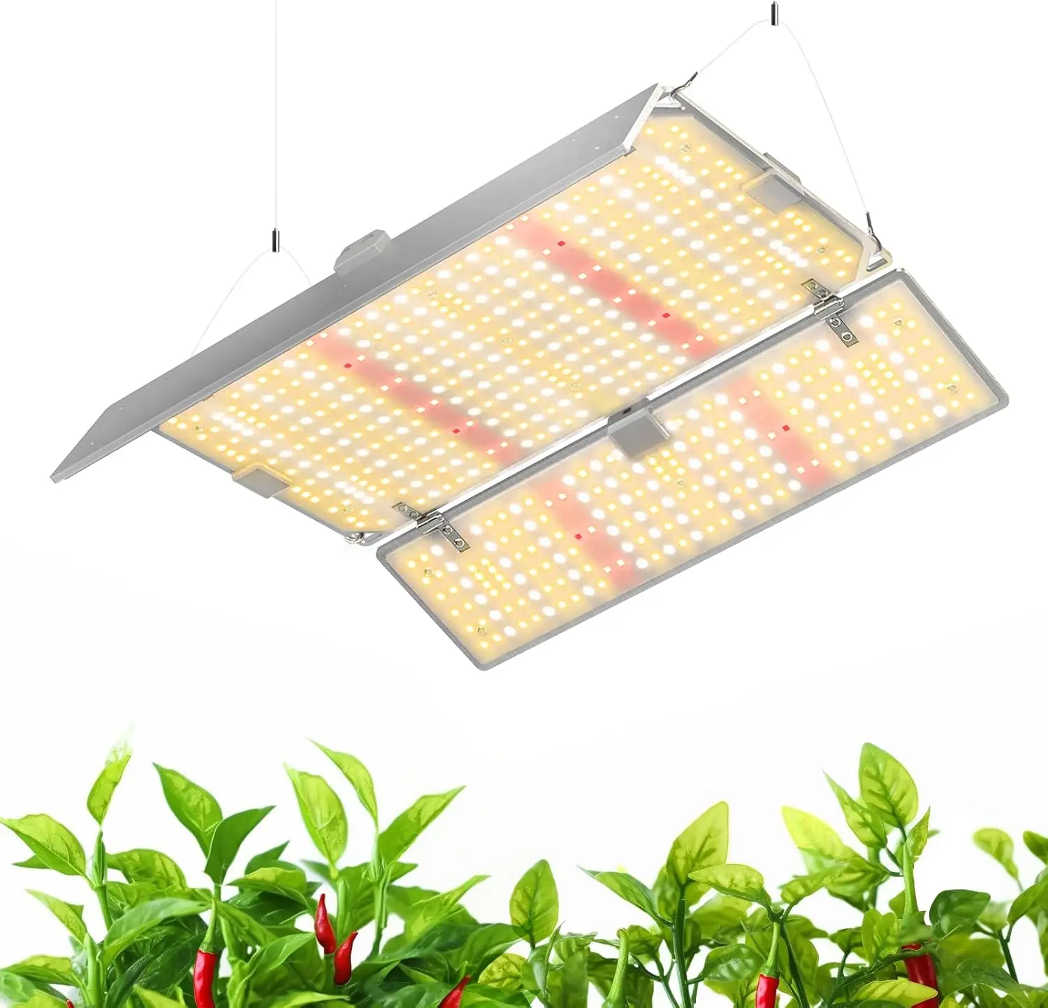 4x4 Grow Light Full Spectrum 816 LEDs Dimmable Panel for Indoor Plants High PPFD
4x4 Grow Light Full Spectrum 816 LEDs Dimmable Panel for Indoor Plants High PPFD