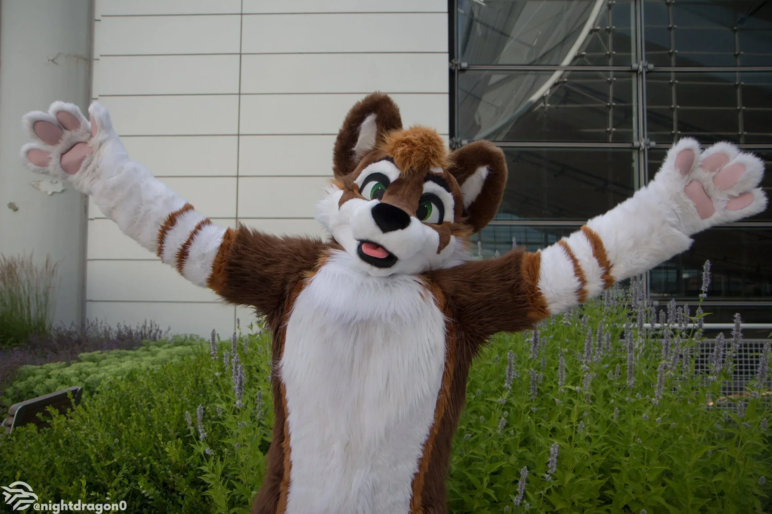 Fox Dog Husky White Brown Fur Mascot Costume Furry Suit Fursuit Halloween Christmas Birthday Party Gift Christmas
Fox Dog Husky White Brown Fur Mascot Costume Furry Suit Fursuit Halloween Christmas Birthday Party Gift Christmas
