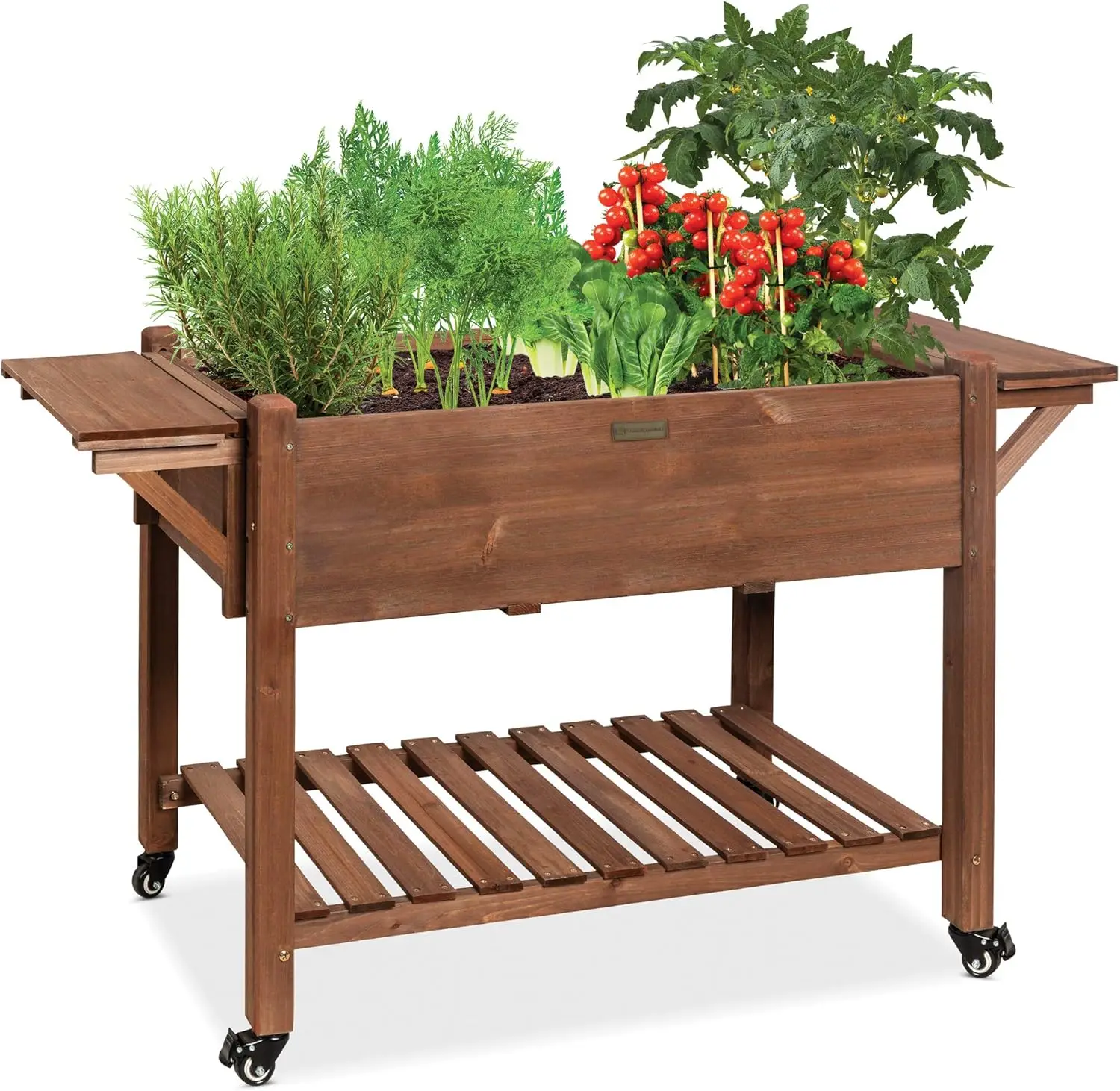 57x20x33in Mobile Raised Garden Bed Elevated Wood Planter Box Stand for Backyard, Patio w/Folding Side Tables, Locking Wheels
57x20x33in Mobile Raised Garden Bed Elevated Wood Planter Box Stand for Backyard, Patio w/Folding Side Tables, Locking Wheels