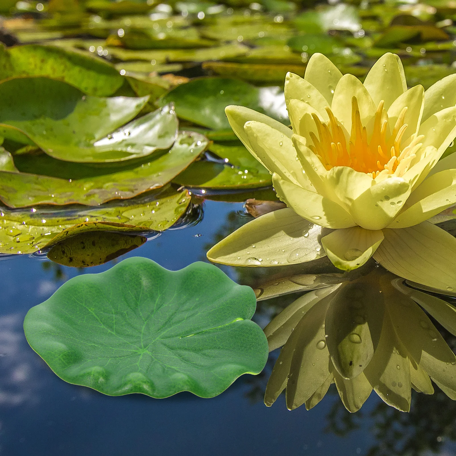 10Pcs Fake Lotus Leaf Floating Water Pool Decor Vivid Details Aquarium Lotus Leaves Performance Accessory Simulation Leaf
10Pcs Fake Lotus Leaf Floating Water Pool Decor Vivid Details Aquarium Lotus Leaves Performance Accessory Simulation Leaf