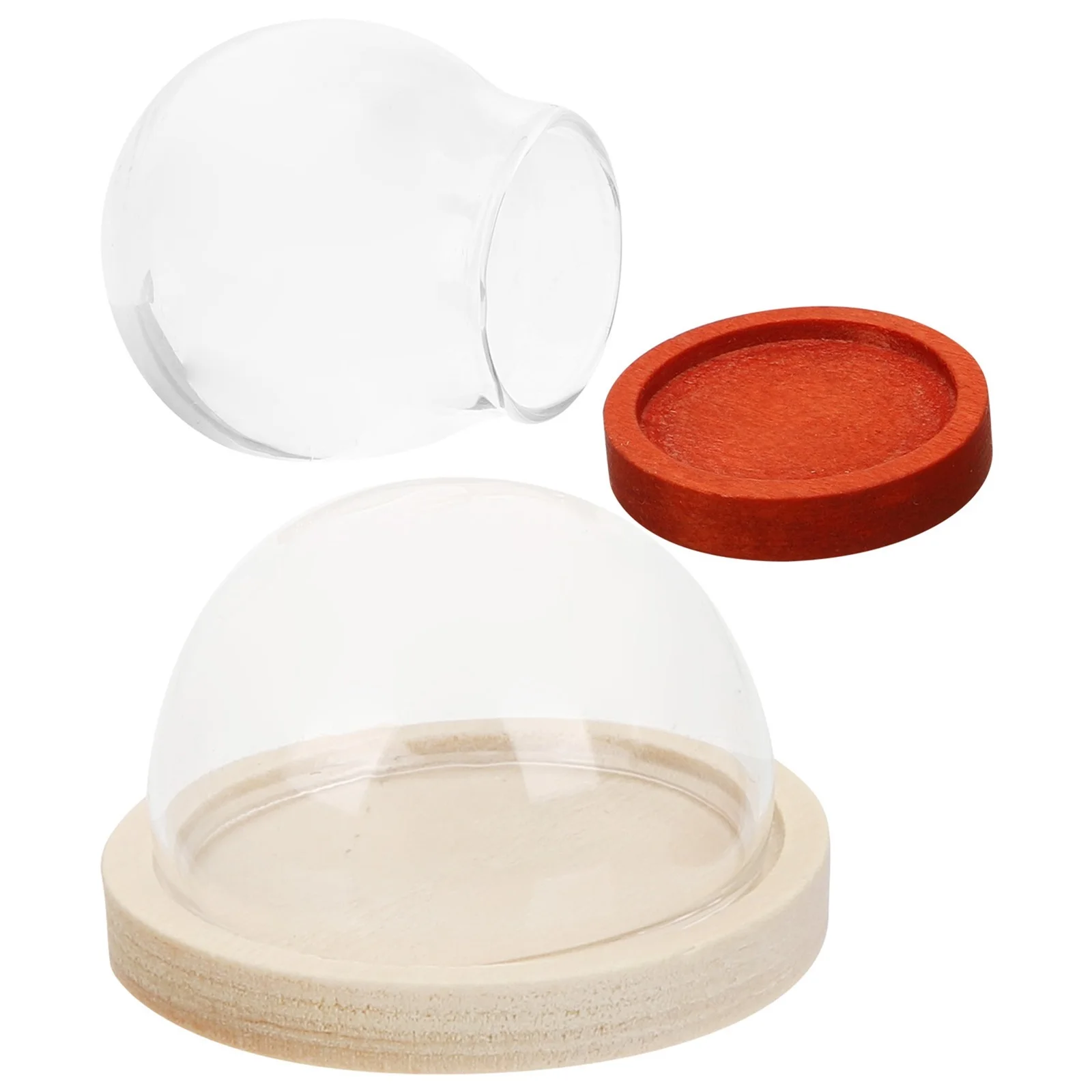2 Pcs Wooden Pendant Accessories Cloche Display Dome Domes Mini Decoration Case Cases for Collectibles Glass with Base Flowers
2 Pcs Wooden Pendant Accessories Cloche Display Dome Domes Mini Decoration Case Cases for Collectibles Glass with Base Flowers