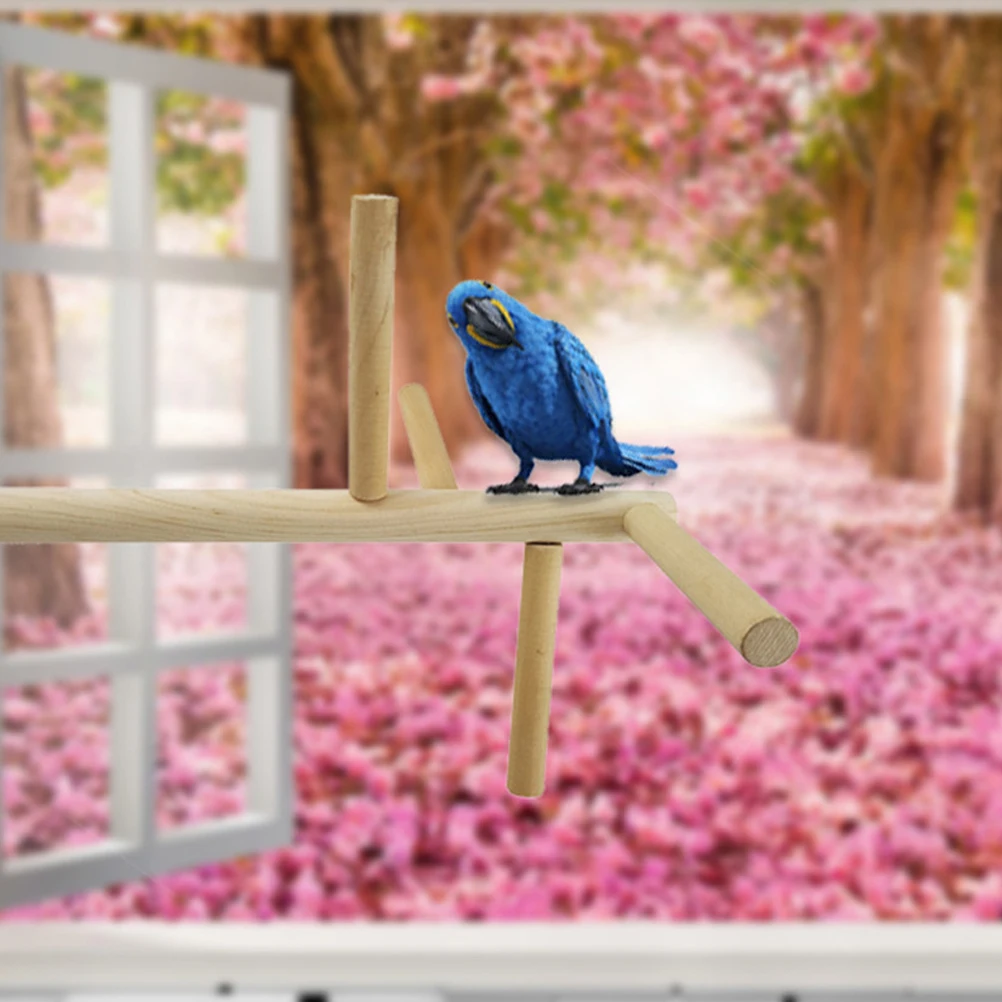 Parrot Swing Set Bird Perch Wood Safe Exercise Toy Climbing Stairs Supplies Gifts Bamboo Ladder for Owners
Parrot Swing Set Bird Perch Wood Safe Exercise Toy Climbing Stairs Supplies Gifts Bamboo Ladder for Owners