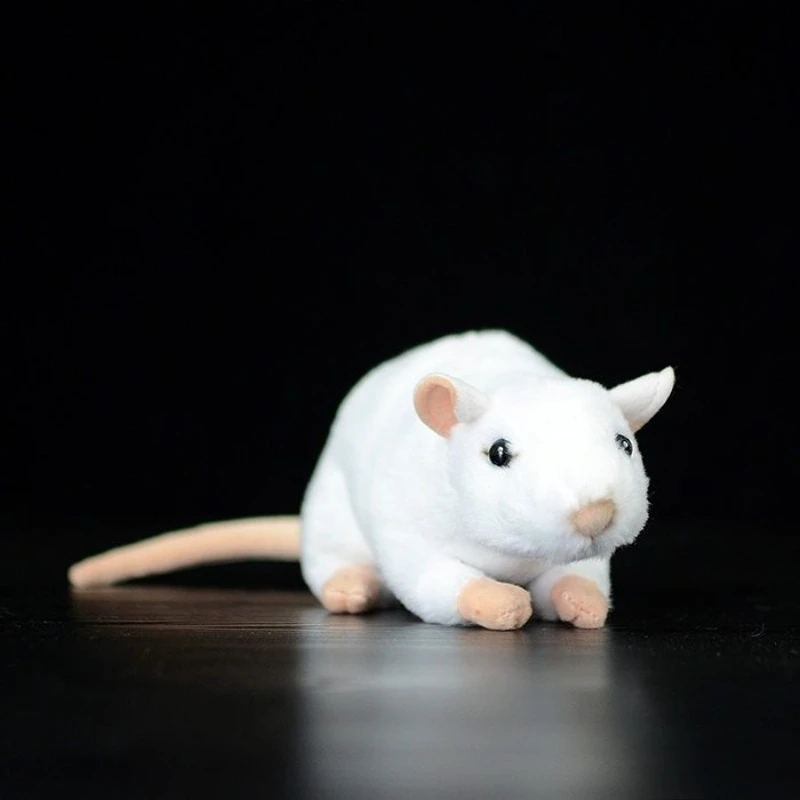 ZWY Original Realistic White Mouse Plush Toy Little Mouse Stuffed Animal Doll Soft Lifelike Collectible Gift for Animal Lovers
ZWY Original Realistic White Mouse Plush Toy Little Mouse Stuffed Animal Doll Soft Lifelike Collectible Gift for Animal Lovers