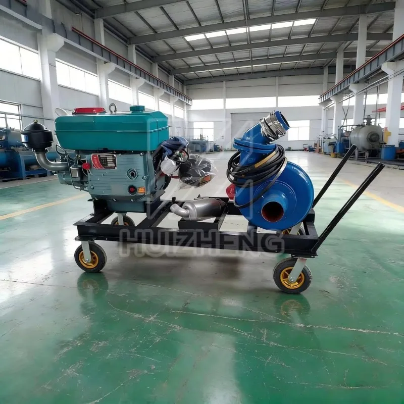 Customized Mini Stainless Steel & High Chrome Alloy Portable Sand Pump For Small Scale Gold Mining And River Sand Excavation
Customized Mini Stainless Steel & High Chrome Alloy Portable Sand Pump For Small Scale Gold Mining And River Sand Excavation